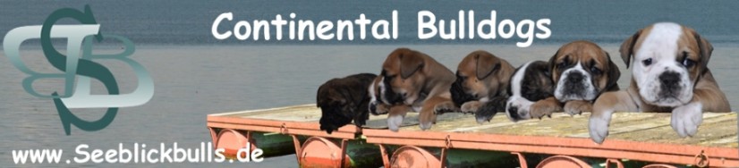 Seeblickbulls Banner 979 x 200
